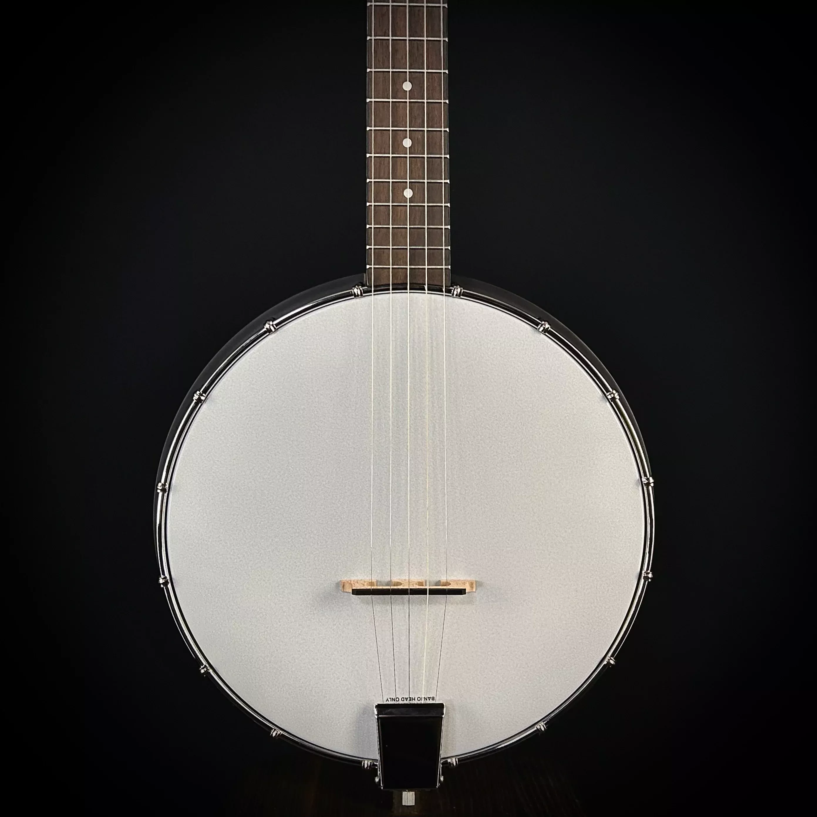 gold-tone-ac-1-lefty Gold Tone AC-1 - Lefty