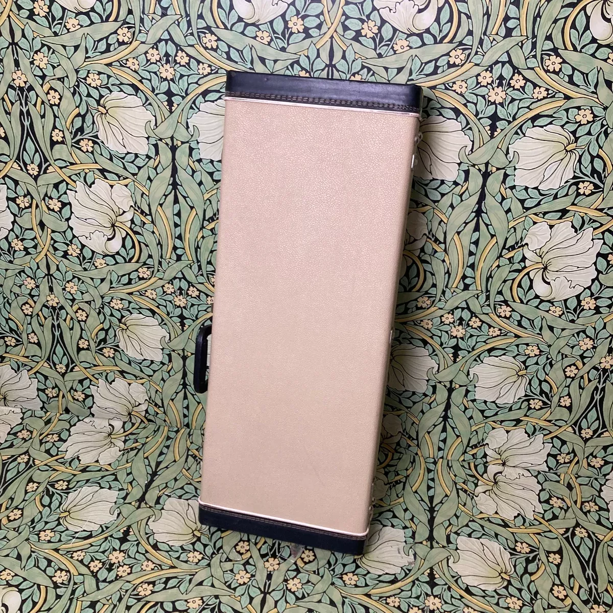 Lap Steel Hardshell Case