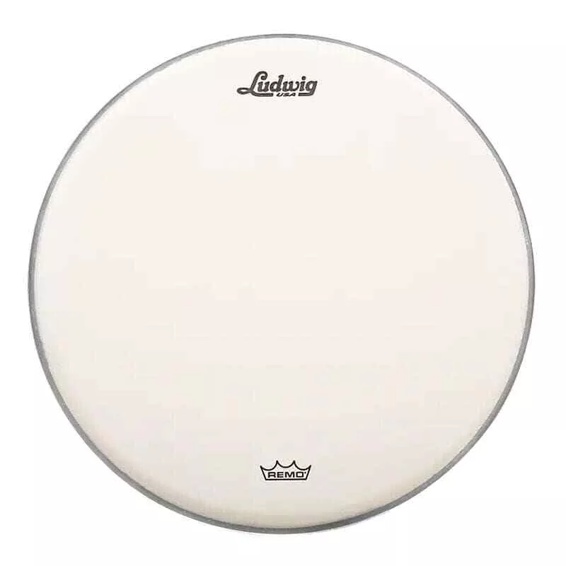 Ludwig 14" Coated Ambassador LW114RAC