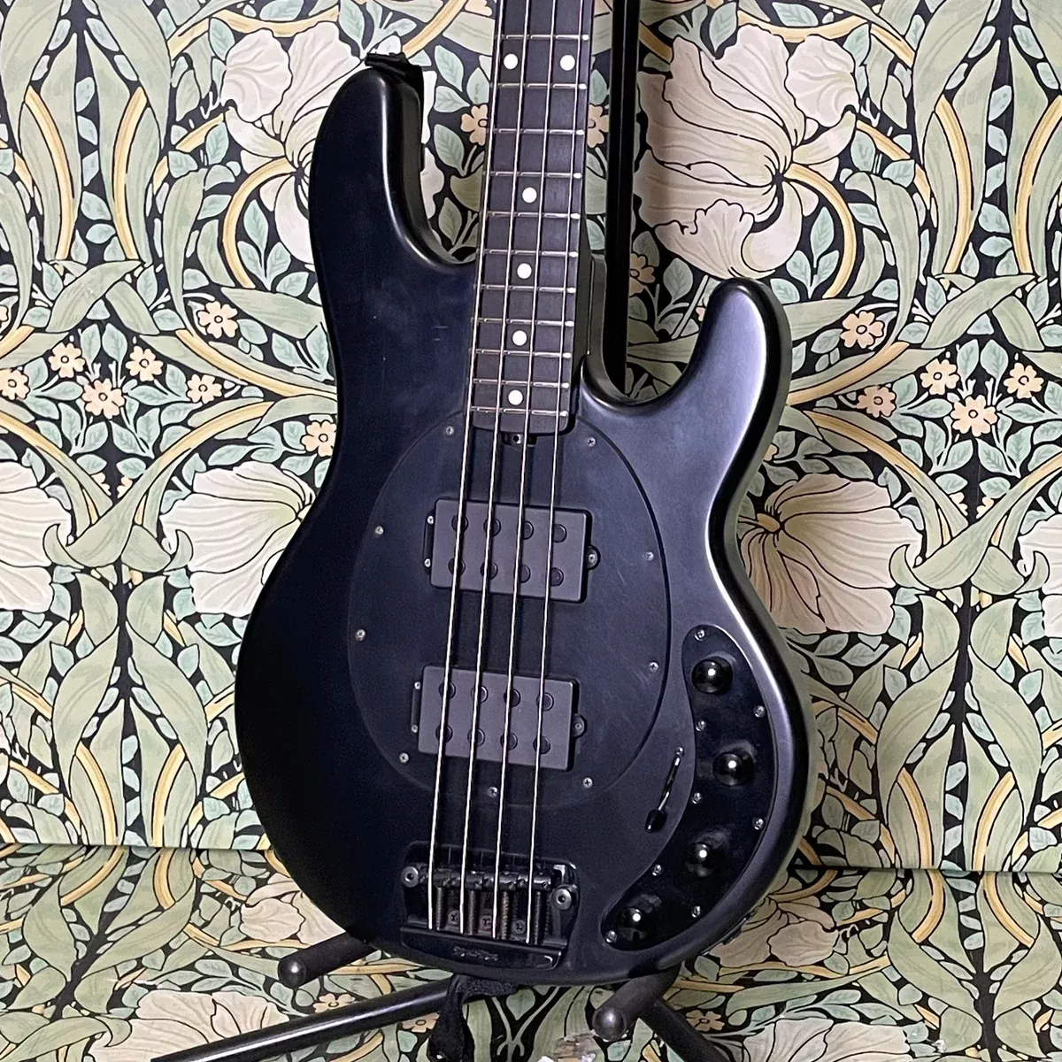 Music Man StingRay EQ HH Stealth Black 2014