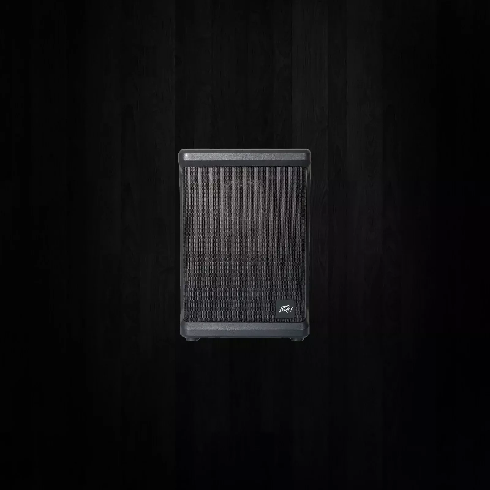 Peavey Solo 4 Channel PA Speaker