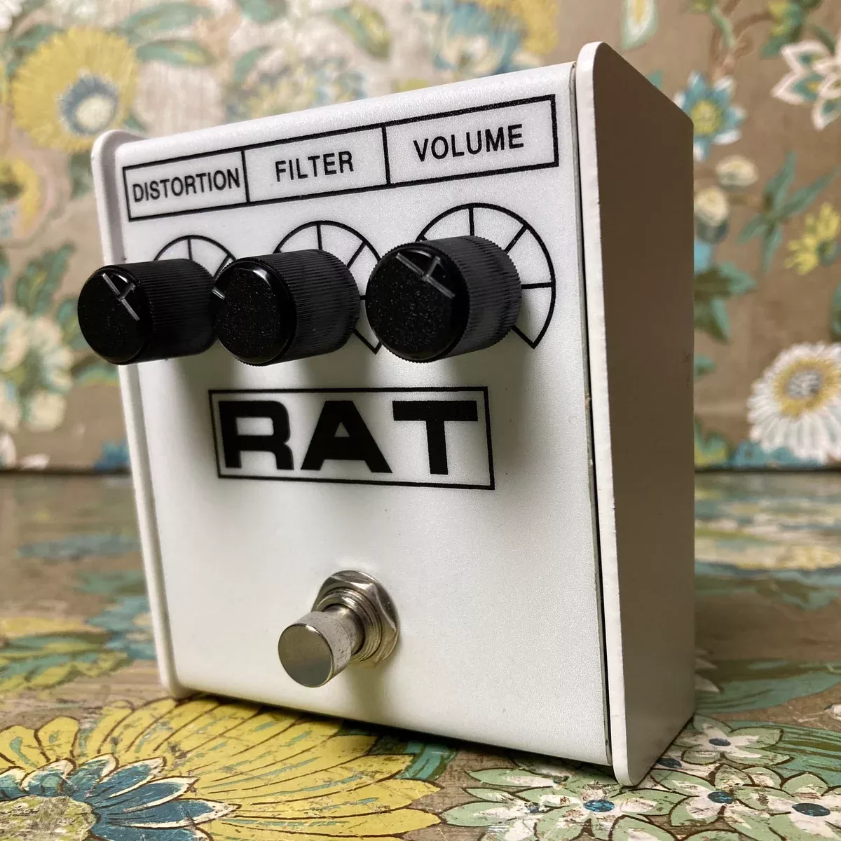proco-rat-ikebe-music-limited-edition-white ProCo RAT Ikebe Music Limited Edition White