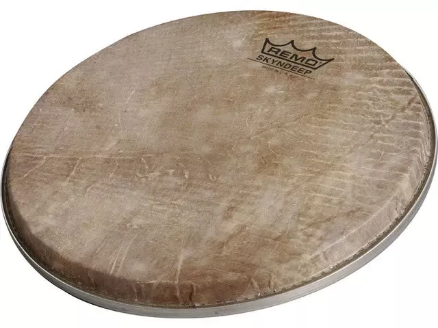remo-doumbek-drumhead-s-series-skyndeep-9-inch Remo Doumbek Drumhead, S Series, SKYNDEEP, 9 inch