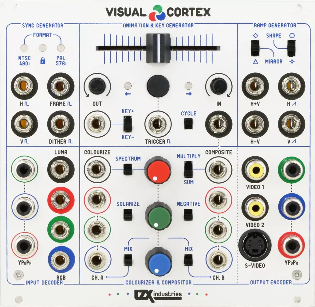Visual Cortex