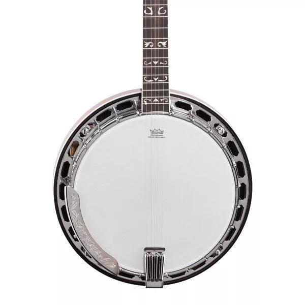washburn-b16k-d-u-5-string-tobacco-sunburst-with-case Washburn B16K-D-U 5-string, Tobacco Sunburst with Case